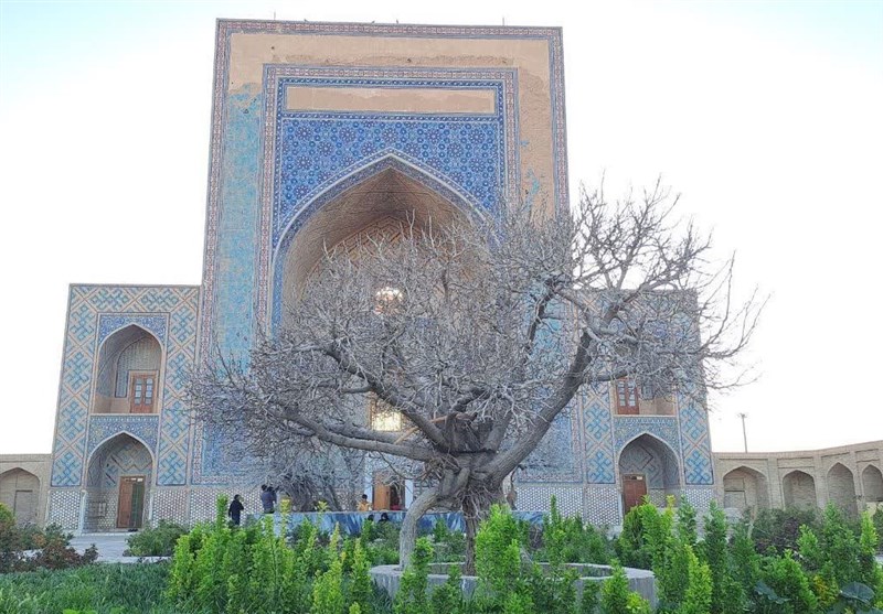 میزبانی مزار مولانا ابوبکر تایبادی از گردشگران + فیلم