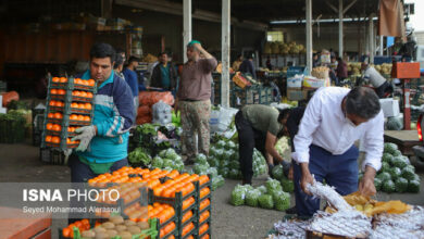 نظارت اصناف از نظارتهای دولتی بهتر است