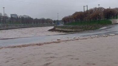 هواشناسی ایران1403/01/03؛بارش رگباری شدید در 11 استان