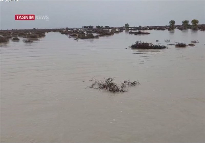 ورود دادستانی به ترک فعل مسئولان در سیل بلوچستان/ اوضاع در مناطق سیلزده آرام است + فیلم