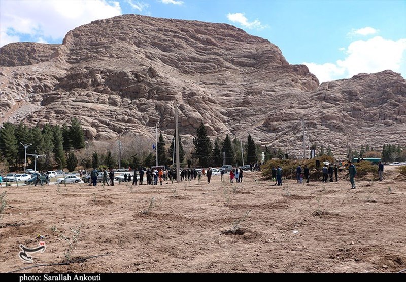 استان کرمان , روز درختکاری , شهید , شهدای کرمان , حمله تروریستی کرمان ,