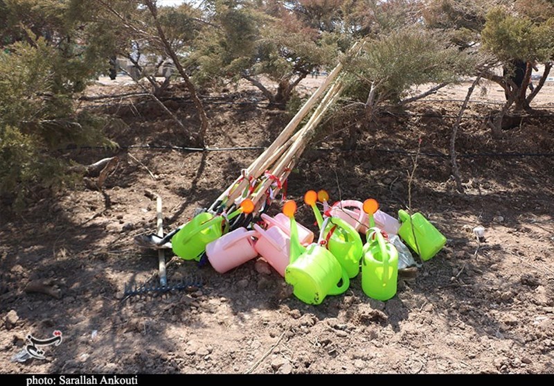 استان کرمان , روز درختکاری , شهید , شهدای کرمان , حمله تروریستی کرمان ,