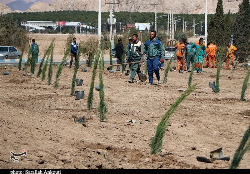 استان کرمان , روز درختکاری , شهید , شهدای کرمان , حمله تروریستی کرمان ,