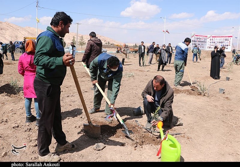 استان کرمان , روز درختکاری , شهید , شهدای کرمان , حمله تروریستی کرمان ,