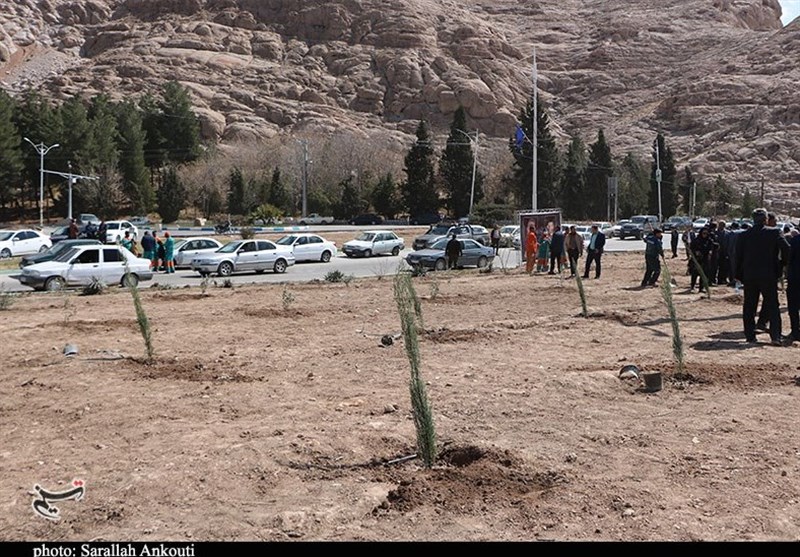 استان کرمان , روز درختکاری , شهید , شهدای کرمان , حمله تروریستی کرمان ,