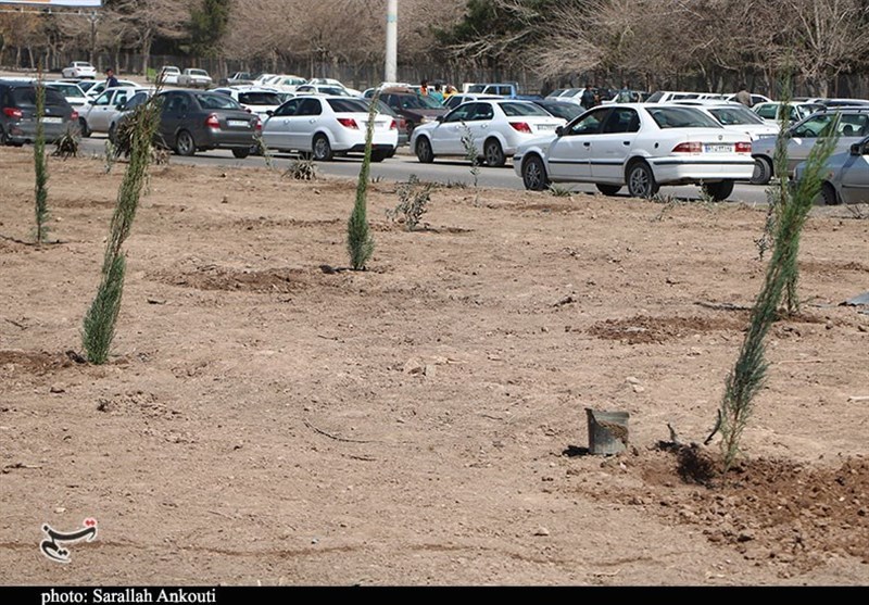 استان کرمان , روز درختکاری , شهید , شهدای کرمان , حمله تروریستی کرمان ,