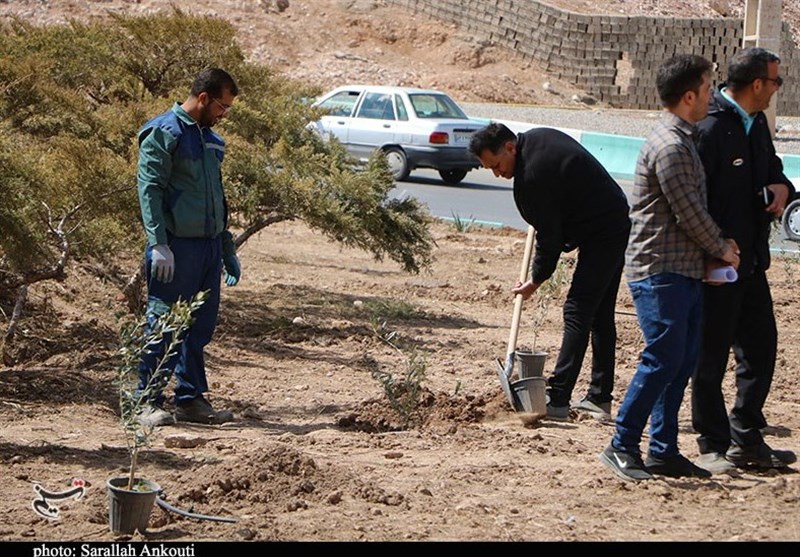 استان کرمان , روز درختکاری , شهید , شهدای کرمان , حمله تروریستی کرمان ,