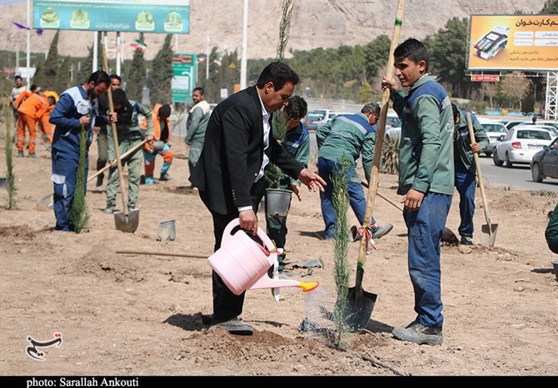 استان کرمان , روز درختکاری , شهید , شهدای کرمان , حمله تروریستی کرمان ,