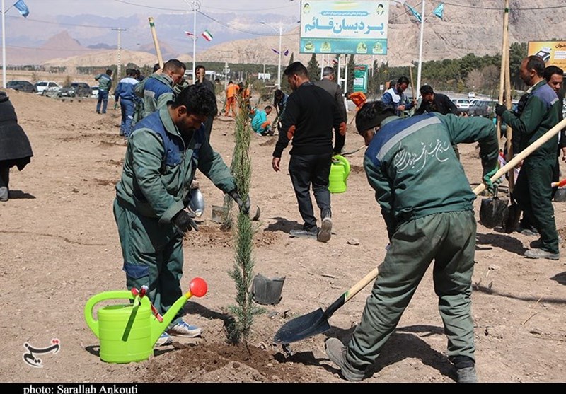 استان کرمان , روز درختکاری , شهید , شهدای کرمان , حمله تروریستی کرمان ,