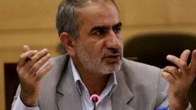 ۹۰ فروند هواپیمایی که میگویند وارد کشور شده را ندیدیم!