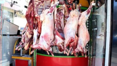 141 واحد غیربهداشتی عرضه مواد خام دامی پلمب شد