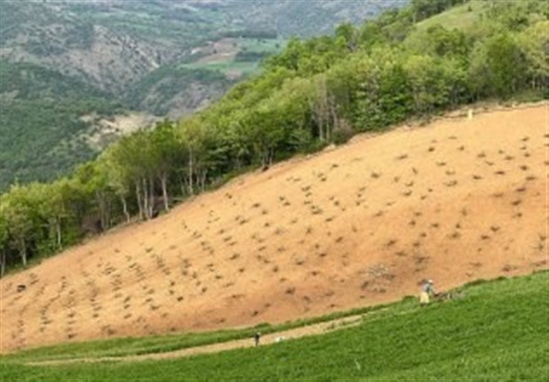 آغاز به کار پروژه کاهش تعارضات جامعه محلی با زیست بوم زاگرس