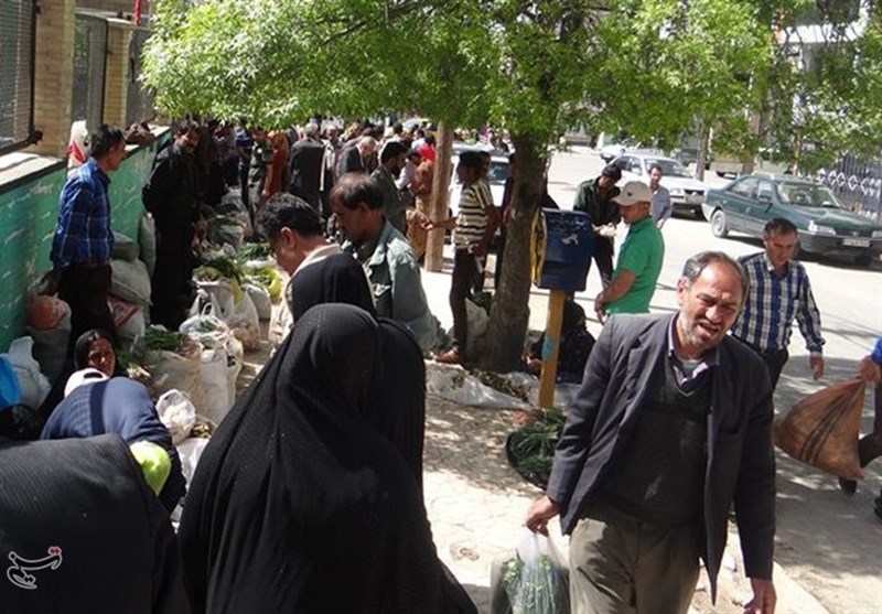 ابراز نگرانی از تخریب منابع طبیعی