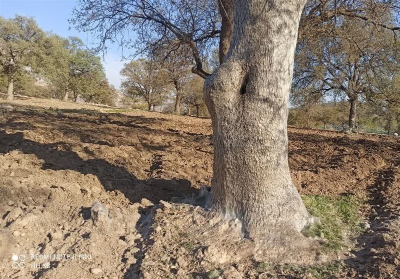 سازمان منابع طبیعی , پایش و نظارت در محیط زیست ,