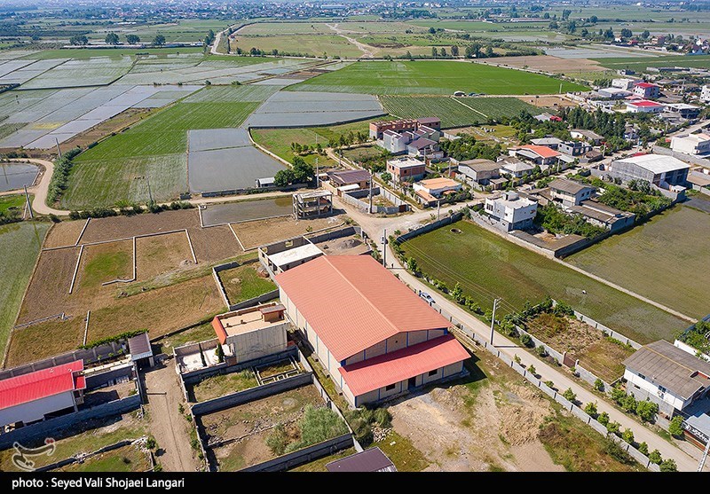 "اثبات مالکیت" و "مالی" بیشترین پرونده قضایی در مازندران است