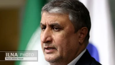 از رونمایی از دستاوردهای جدید هستهای در روز ۲۰ فروردین تا صدرنشینی نیروگاه اتمی بوشهر در جدول ارزیابی انجمن وانو