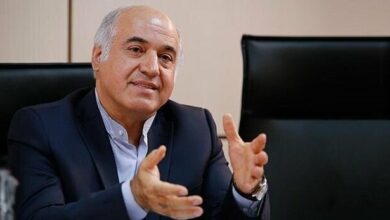 از لحاظ قانونی بانکها از بنگاهداری منع نشدهاند/ لزوم اقدام بانکها برای سودآوری سرخابیها