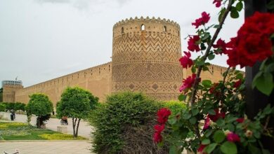 استقبال از هفته شیراز در هوای آغشته به عطر بهار نارنج