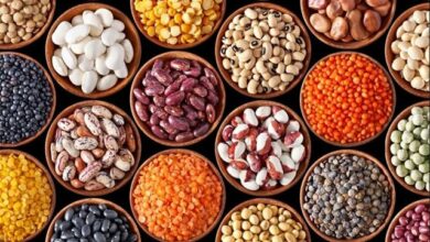 افزایش ۳۰ تا ۵۰ درصدی قیمت جهانی حبوبات/ واسطهها بازار را بهم میریزند