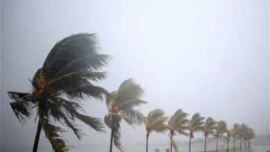 امدادگران هلال احمر بوشهر به حالت آمادهباش درآمدند