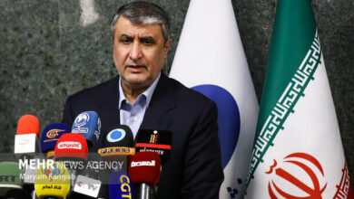 اولین کنفرانس بین المللی هستهای را برگزار خواهیم کرد