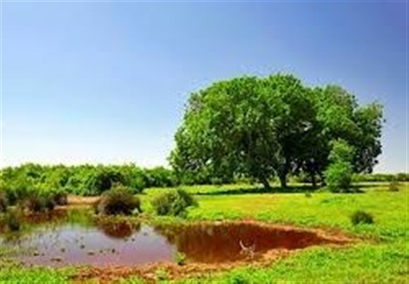 بازدید 17 هزار گردشگر نوروزی از میانکاله