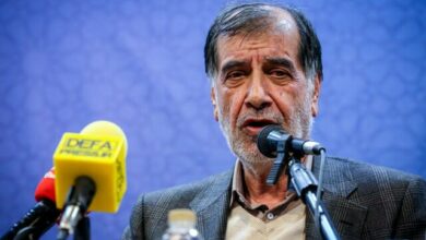 باهنر: نمیتوان به حل مسائل کشور نگاه عاطفی داشت