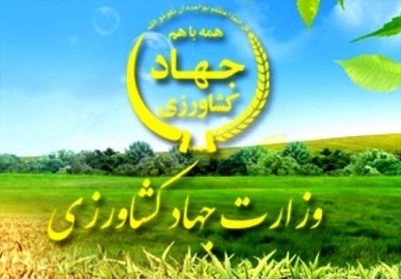 برگزاری آزمون جذب 2 هزار نیروی متخصص در وزارت جهاد کشاورزی