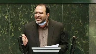 بیثباتی ارزی عامل ناامنی است و روح و روان مردم را نابود می کند