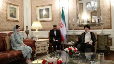 تبادل ظرفیتهای متقابل زمینه تأمین منافع و افزایش قدرت ایران و پاکستان است