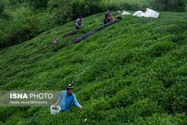 تبادل پیامهای تبریک میان مقامان ایران و کشورهای مختلف به مناسبت «عید فطر»