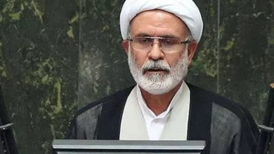 تصدیگری دولت و وابستگی به نفت مهمترین مشکل اقتصاد کشور است