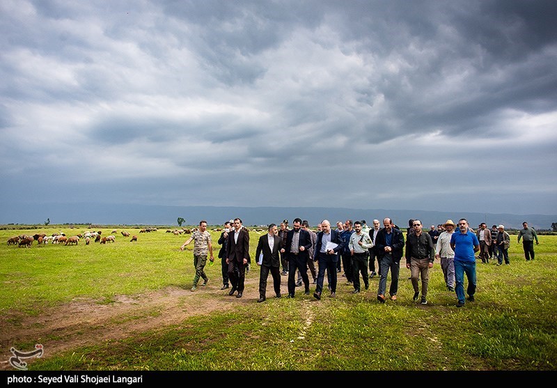 تصمیمی برای استرداد اراضی پتروشیمی میانکاله گرفته نشده است