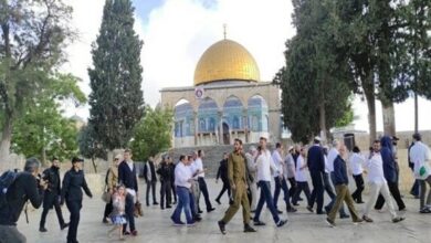 تعرض شهرکنشینان صهیونیست به مسجد الاقصی