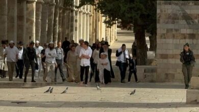 تعرض ۲۱۹ شهرکنشین صهیونیست به مسجد الاقصی