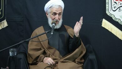 توضیحات حجتالاسلام صدیقی درباره غفلت در تأسیس مؤسسه