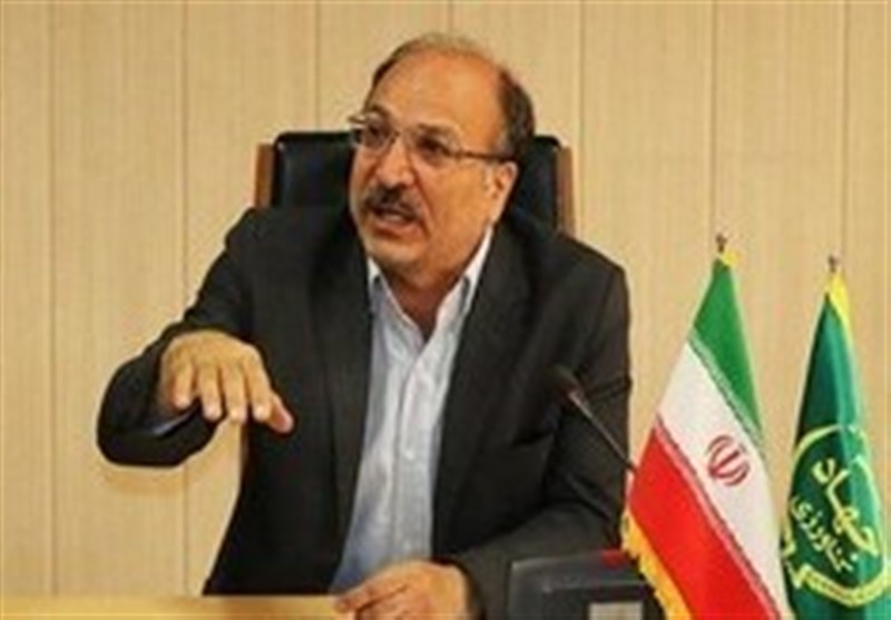 تولید 100 هزار تن دانههای روغنی در اردبیل