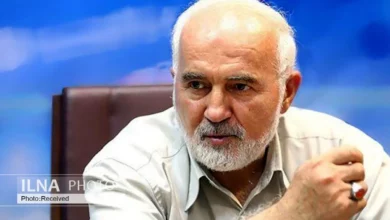 توکلی: سکوت غیرقابل باور مقامات قضایی در پرونده صدیقی اعتماد عمومی را خدشهدار میکند