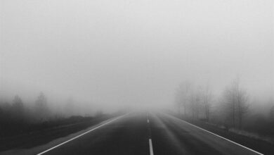 جادههای خراسان رضوی مه آلود است