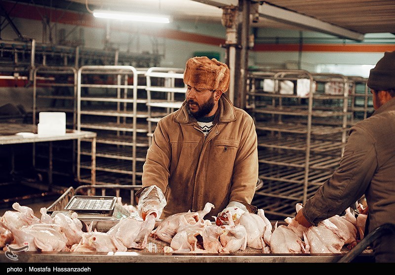 جهش تولید با ورود شرکتهای دانشبنیان محقق میشود