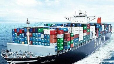 حضور ۲۰ کشور آفریقایی در اجلاس بینالمللی ایران و آفریقا