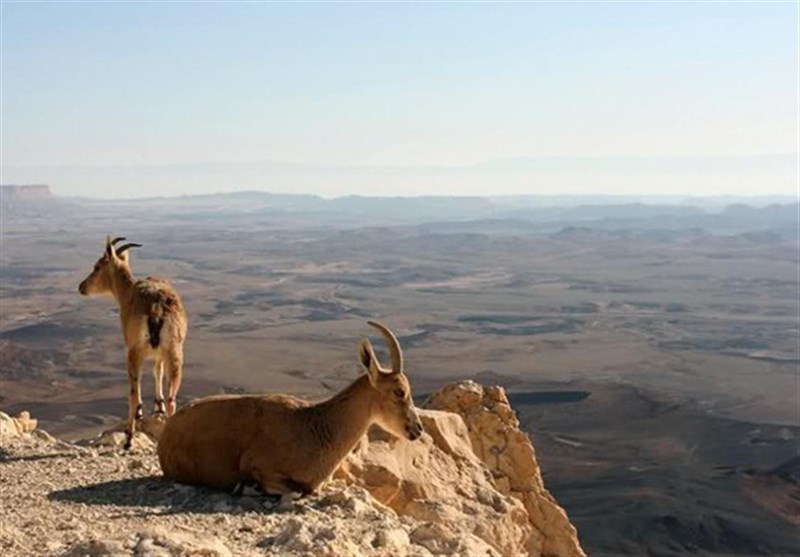 خسارت 3.2 میلیاردی سیل اخیر به تأسیسات پارک ملی هفتادقله