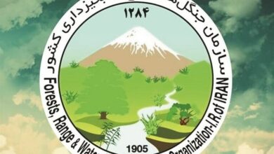 درخواست تعاونی مسکن سازمان جنگلها برای استقرار روی گسل