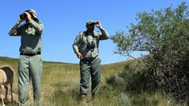 دستگیری 350 شکارچی غیرمجاز توسط محیطبانان قزوینی