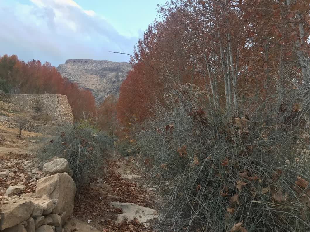 دستگیری عوامل درگیری تفرجگاه سکوتپه ساری