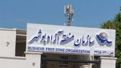 دهنکجی منطقه آزاد بوشهر به مردم با انتصاب مدیران پروازی