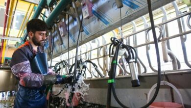 راه اندازی برات الکترونیک برای تامین مالی تولید