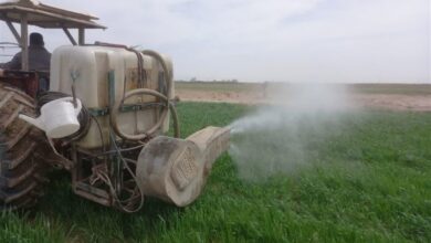 رزمایش جهاد امنیت غذایی در 250 روستای خراسانرضوی