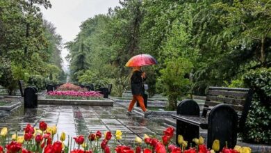 شولآباد در صدر بارندگی سال زراعی لرستان