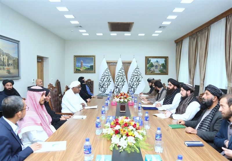 طالبان: آماده همکاری با «او.آی.سی» در قضیه فلسطین هستیم